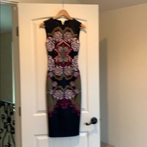 Elegant Ted Baker Dress
